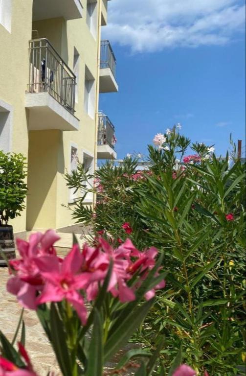 Byala Friendy Sea Apartaments Εξωτερικό φωτογραφία